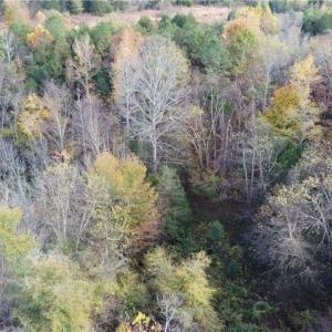 Photo #13 of Fraher Ln, Amelia, VA 19.2 acres