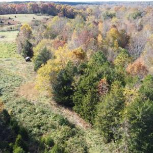 Photo #15 of Fraher Ln, Amelia, VA 19.2 acres