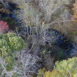 Photo #8 of Fraher Ln, Amelia, VA 19.2 acres