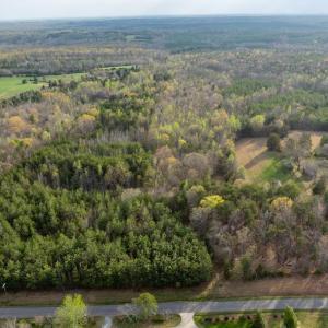 Photo #8 of Springfield Rd, Meherrin, VA 28.8 acres