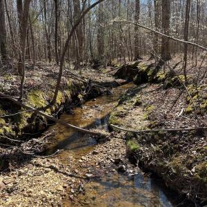 Photo #2 of Springfield Rd, Meherrin, VA 28.8 acres