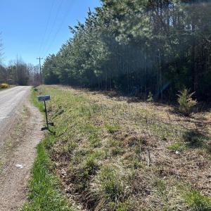 Photo #4 of Springfield Rd, Meherrin, VA 28.8 acres