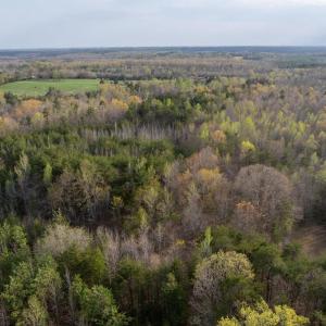 Photo #10 of Springfield Rd, Meherrin, VA 28.8 acres