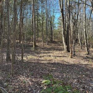 Photo #7 of Springfield Rd, Meherrin, VA 28.8 acres