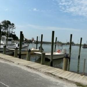 Photo #10 of lot F WALTER ST, QUINBY, VA 3.9 acres