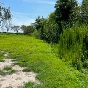 Photo #13 of lot F WALTER ST, QUINBY, VA 3.9 acres