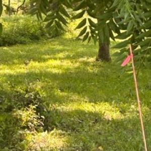 Photo #2 of lot F WALTER ST, QUINBY, VA 3.9 acres