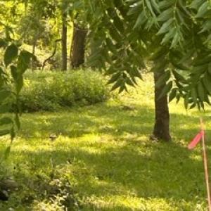 Photo #3 of lot F WALTER ST, QUINBY, VA 3.9 acres