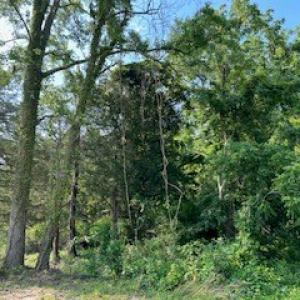 Photo #5 of lot F WALTER ST, QUINBY, VA 3.9 acres