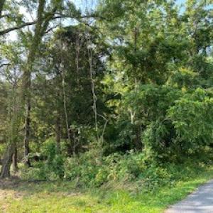 Photo #6 of lot F WALTER ST, QUINBY, VA 3.9 acres