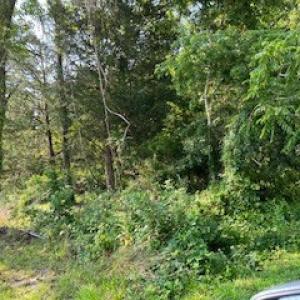 Photo #7 of lot F WALTER ST, QUINBY, VA 3.9 acres