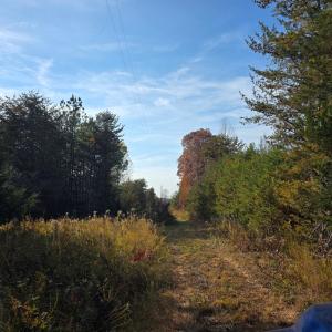 Photo #2 of Wildway Rd, Appomattox, VA 37.5 acres