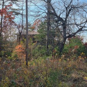 Photo #4 of Wildway Rd, Appomattox, VA 37.5 acres