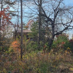 Photo #5 of Wildway Rd, Appomattox, VA 37.5 acres