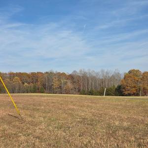 Photo #6 of Wildway Rd, Appomattox, VA 37.5 acres