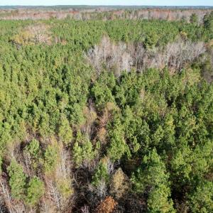 Photo #10 of Grubby Rd, Wilsons, VA 39.5 acres