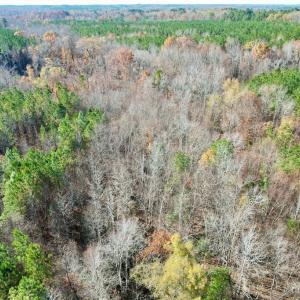 Photo #11 of Grubby Rd, Wilsons, VA 39.5 acres