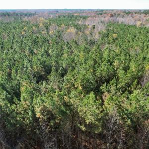 Photo #14 of Grubby Rd, Wilsons, VA 39.5 acres