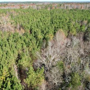 Photo #15 of Grubby Rd, Wilsons, VA 39.5 acres