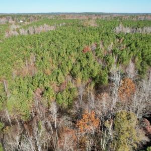 Photo #16 of Grubby Rd, Wilsons, VA 39.5 acres