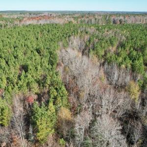 Photo #17 of Grubby Rd, Wilsons, VA 39.5 acres