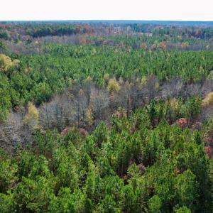 Photo #19 of Grubby Rd, Wilsons, VA 39.5 acres