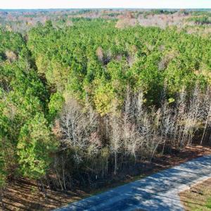 Photo #20 of Grubby Rd, Wilsons, VA 39.5 acres