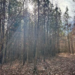 Photo #23 of Grubby Rd, Wilsons, VA 39.5 acres