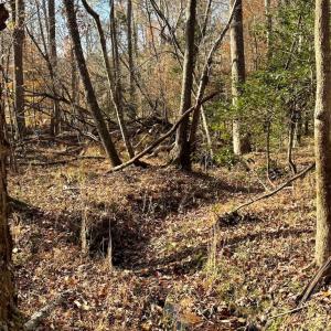 Photo #24 of Grubby Rd, Wilsons, VA 39.5 acres