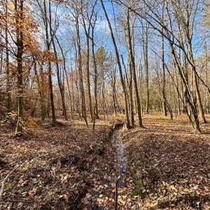 Photo #25 of Grubby Rd, Wilsons, VA 39.5 acres