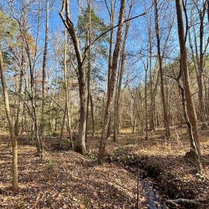 Photo #26 of Grubby Rd, Wilsons, VA 39.5 acres