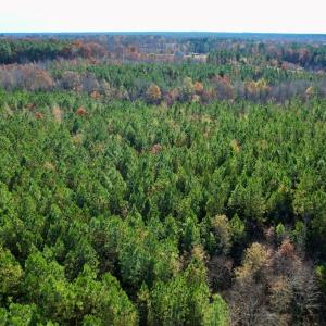 Photo #3 of Grubby Rd, Wilsons, VA 39.5 acres