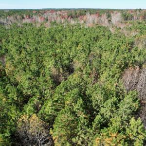 Photo #4 of Grubby Rd, Wilsons, VA 39.5 acres