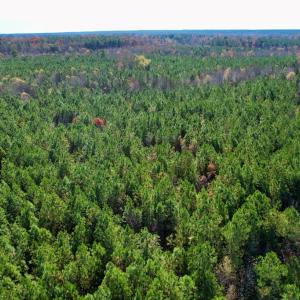 Photo #5 of Grubby Rd, Wilsons, VA 39.5 acres