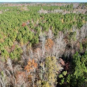 Photo #8 of Grubby Rd, Wilsons, VA 39.5 acres