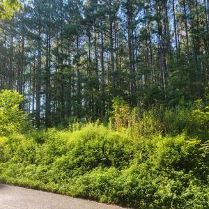 Photo #11 of 626 Double Bridges, Keysville, VA 8.7 acres