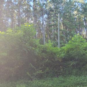 Photo #14 of 626 Double Bridges, Keysville, VA 8.7 acres