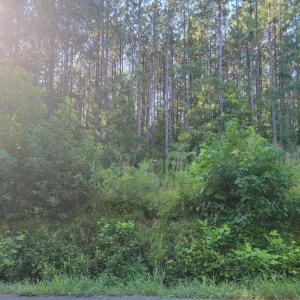 Photo #16 of 626 Double Bridges, Keysville, VA 8.7 acres