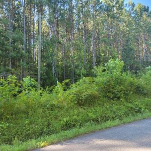 Photo #18 of 626 Double Bridges, Keysville, VA 8.7 acres