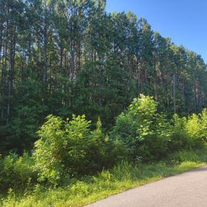 Photo #2 of 626 Double Bridges, Keysville, VA 8.7 acres