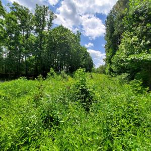 Photo #6 of 626 Double Bridges, Keysville, VA 8.7 acres