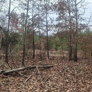 Photo #3 of 0 Indian Pipe Run, Palmyra, VA 21.1 acres