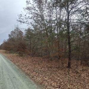 Photo #5 of 0 Indian Pipe Run, Palmyra, VA 21.1 acres
