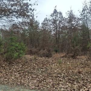 Photo #6 of 0 Indian Pipe Run, Palmyra, VA 21.1 acres