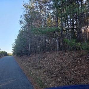 Photo #4 of Mountain Creek Rd, Meherrin, VA 25.0 acres