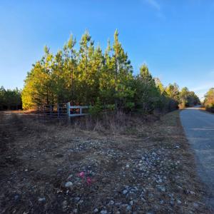 Photo #4 of Mountian Creek Rd, Meherrin, VA 25.2 acres