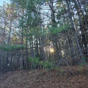 Photo #4 of Mountian Creek Rd, Meherrin, VA 25.0 acres