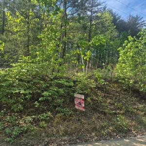 Photo #2 of 628 Mountain Creek Rd., Green Bay, VA 2.9 acres