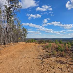 Photo #17 of 4608 Norwood Rd, Gladstone, VA 160.2 acres