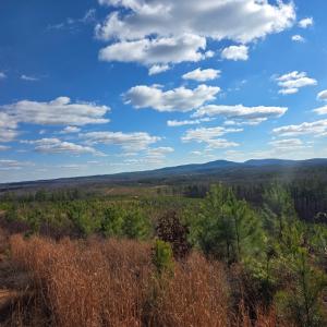 Photo #21 of 4608 Norwood Rd, Gladstone, VA 160.2 acres